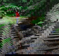 Montezuma Falls - eAccommodation