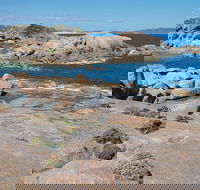Nanarup Beach - eAccommodation