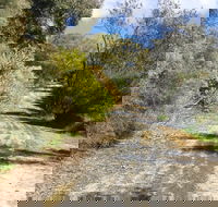 Naracoorte North Nature Park - eAccommodation