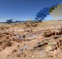 Peery Lake picnic area - eAccommodation