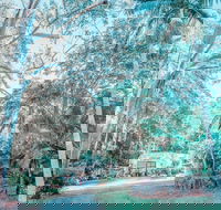 Phillips Gallery - eAccommodation