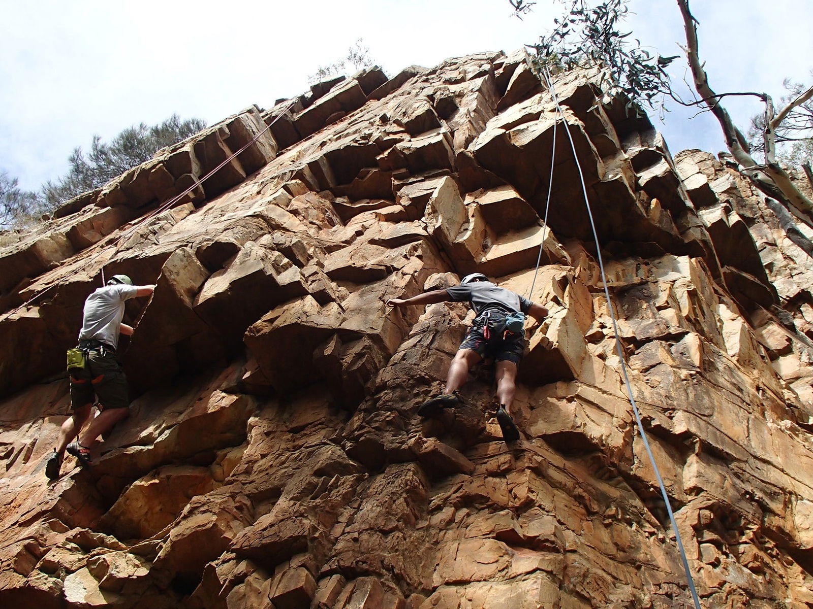 Woodforde SA eAccommodation