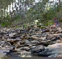 Rocksberg Park Heritage Reserve - eAccommodation