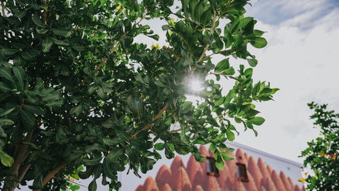 The Bourke Street Link - eAccommodation 2