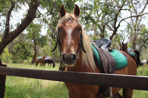 The Ranch - eAccommodation 2