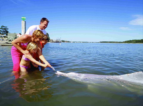 Tourist Drive- Cooloola Coast Fraser Island - eAccommodation 2