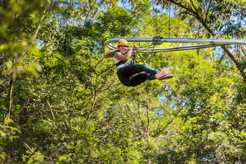 TreeTop Crazy Rider - eAccommodation 0