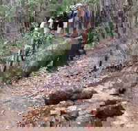 Turner Hill Mountain Bike Trail Murray - eAccommodation