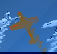 Warbird Aerial Adventures - eAccommodation