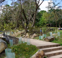 Wentworth Falls picnic area - eAccommodation