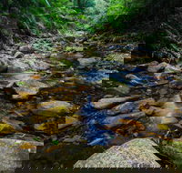 Willi Willi National Park - eAccommodation
