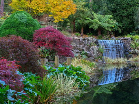 Windyridge Garden Mount Wilson - eAccommodation 2