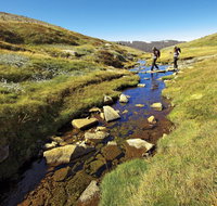 Australian Alps Walking Track - eAccommodation