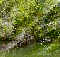 Berry Springs Nature Park - eAccommodation