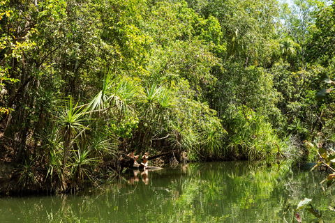 Berry Springs Nature Park - eAccommodation 0