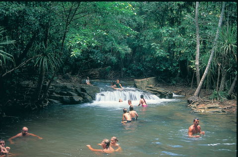 Berry Springs Nature Park - eAccommodation 1