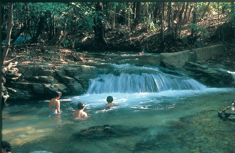 Berry Springs Nature Park - eAccommodation 2