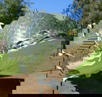 Big Murray Cod - eAccommodation