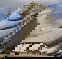Big Merino - eAccommodation