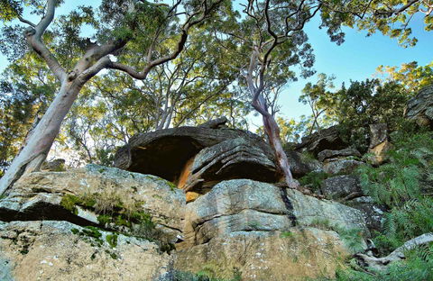 Burrawang Reach Picnic Area - eAccommodation 0