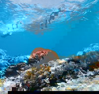 Capricorn Coast and Great Keppel Island Drive Itinerary - eAccommodation