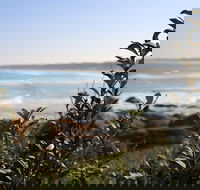 Cape Conran Coastal Park - eAccommodation