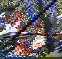 City Park - eAccommodation