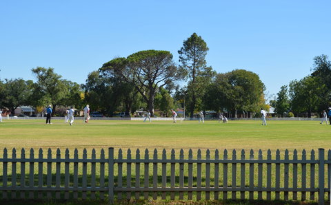 Cootamundra Cricketing Exploration - eAccommodation 0