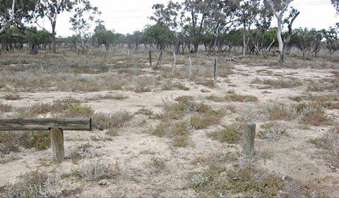 Culgoa Connellys Track - eAccommodation 0