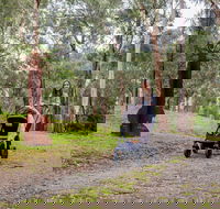 Currawong Bush Park - eAccommodation