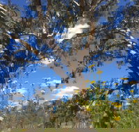 Euroa Arboretum - eAccommodation