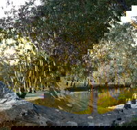Goomburra - eAccommodation