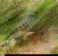 Grass Tree Circuit - eAccommodation