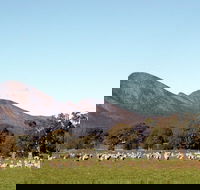 Grampians - eAccommodation