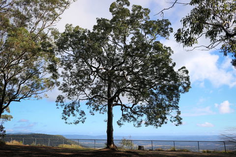 Heaton State Forest - Watagan Mountains - eAccommodation 2