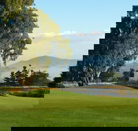 Kangaroo Tours at Gisborne Golf Club Inc - eAccommodation