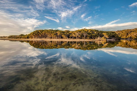 Lashmar Conservation Park - eAccommodation 0