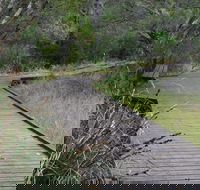 Leschenault Peninsula Conservation Park - eAccommodation