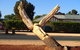 Loxton Tree Sculptures - thumb 0