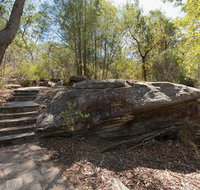 Mooney Mooney nature walk - eAccommodation