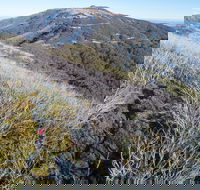 Mt Buller Bike Park - eAccommodation