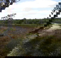 Penola Conservation Park - eAccommodation