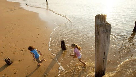 Phillip Island - eAccommodation 0