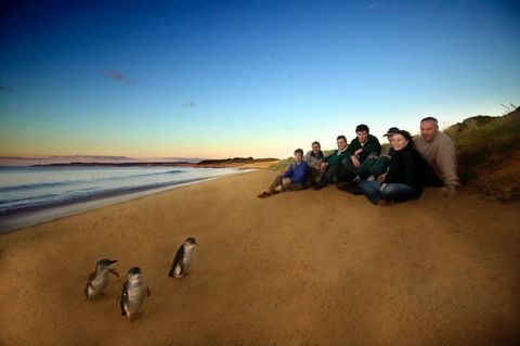 Phillip Island - eAccommodation 2