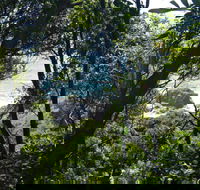 Rainforest Walking Track Hat Head National Park - eAccommodation