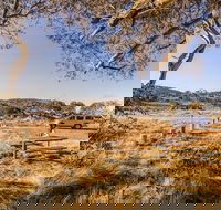 Rennix walking track - eAccommodation