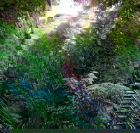 Scenic World Blue Mountains - eAccommodation