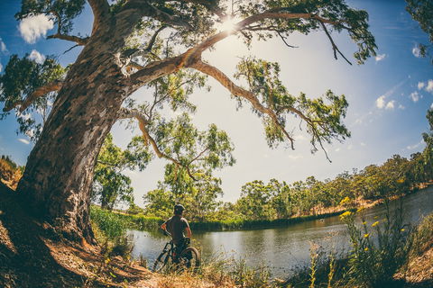Sturt Gorge Recreation Park - eAccommodation 0