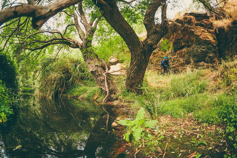 Sturt Gorge Recreation Park - eAccommodation 1