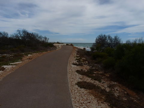 Turquoise Way Trail, Jurien Bay - eAccommodation 0